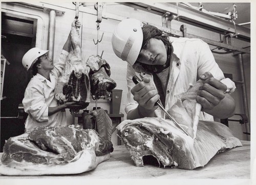 1984 meat science - 1984, class